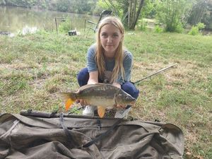 Mirror Carp
