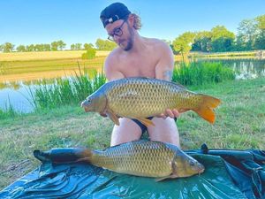 Common Carp