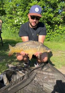 Mirror Carp