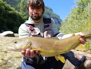 Marble Trout