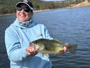 Largemouth Bass