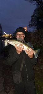 Zander