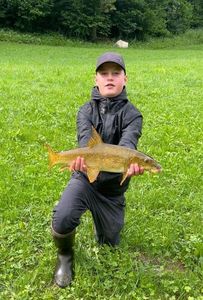 Barbel