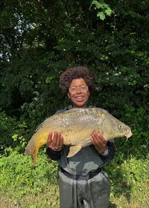 Common Carp