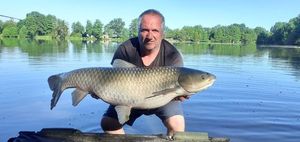 Grass Carp