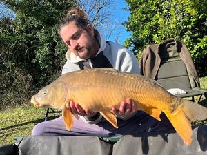 Mirror Carp