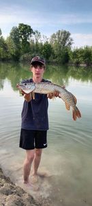Northern Pike
