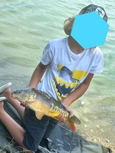 Mirror Carp