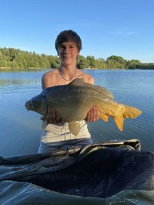 Common Carp