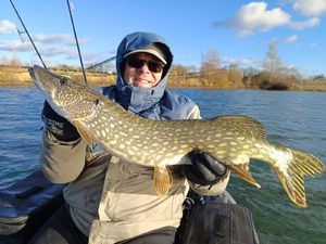 Northern Pike