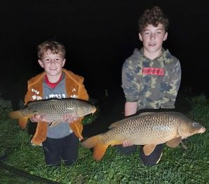 Common Carp