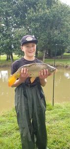 Mirror Carp