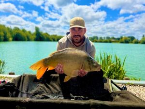 Mirror Carp