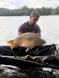 Mirror Carp