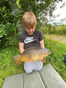 Mirror Carp