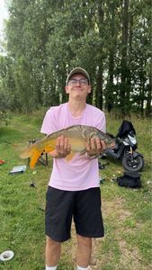 Mirror Carp