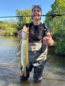Northern Pike