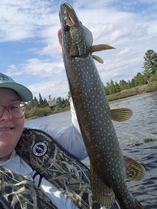 Northern Pike