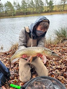 Northern Pike