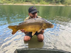 Mirror Carp