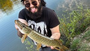 Northern Pike