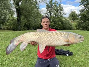 Grass Carp