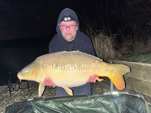 Mirror Carp