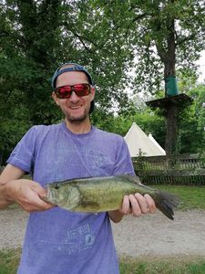 Largemouth Bass