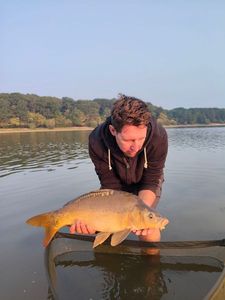 Mirror Carp