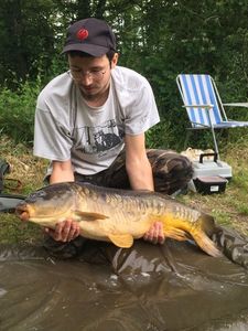 Mirror Carp