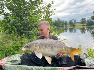 Mirror Carp