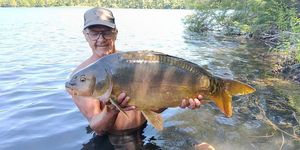 Mirror Carp