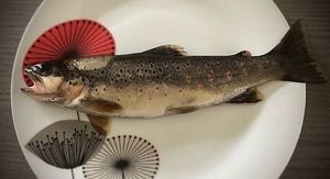 Brown Trout