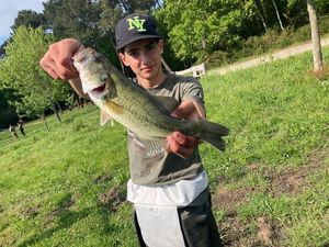 Smallmouth Bass