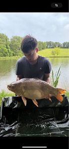 Mirror Carp