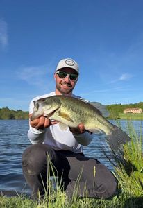 Largemouth Bass