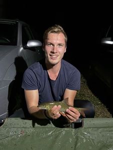 Barbel