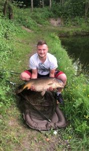 Mirror Carp