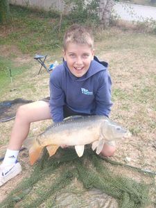 Mirror Carp
