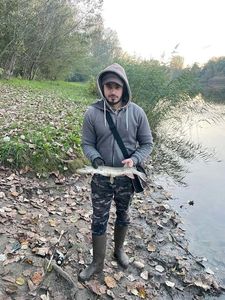Northern Pike