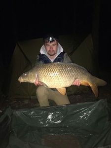 Common Carp