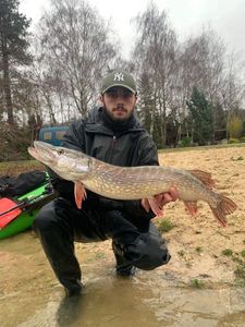 Northern Pike