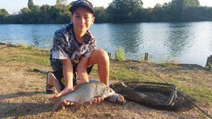 Common Bream