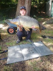 Common Carp
