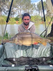 Leather Carp