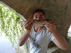 Rainbow Trout