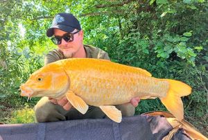 Koï Fish