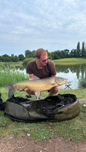 Grass Carp
