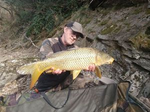 Common Carp