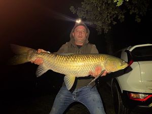 Grass Carp